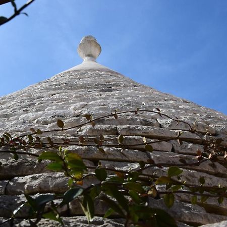 马丁纳弗兰卡Quei Trulli Divini住宿加早餐旅馆 外观 照片