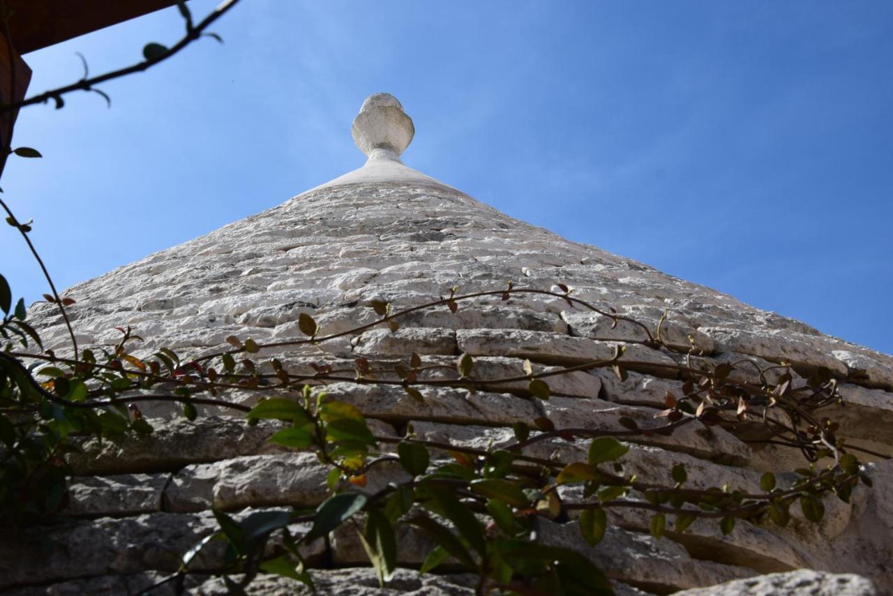 马丁纳弗兰卡Quei Trulli Divini住宿加早餐旅馆 外观 照片